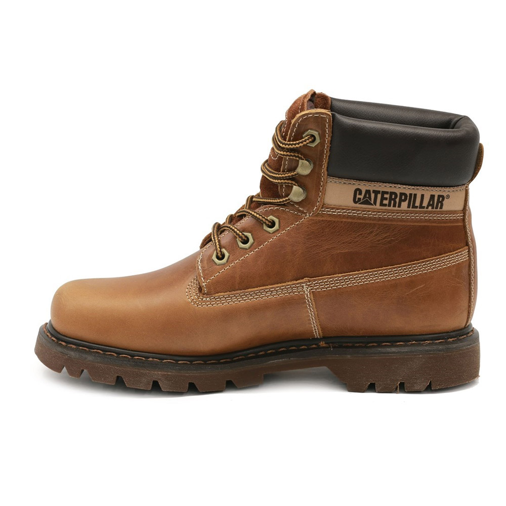 Caterpillar Colorado Erkek Bot