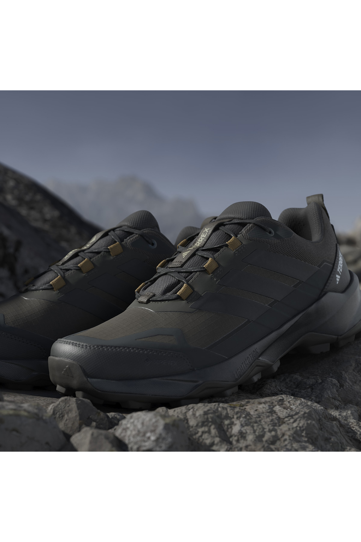 Adidas JQ2213 Terrex Skychaser Ax5 GoraT Ayakkabı